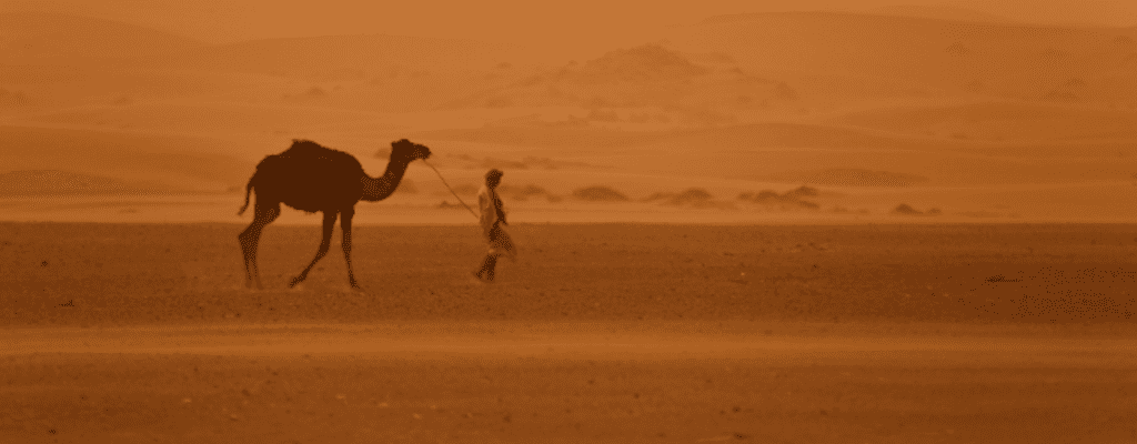 Viaggia Marocco - Escursione nel deserto con cammelli
