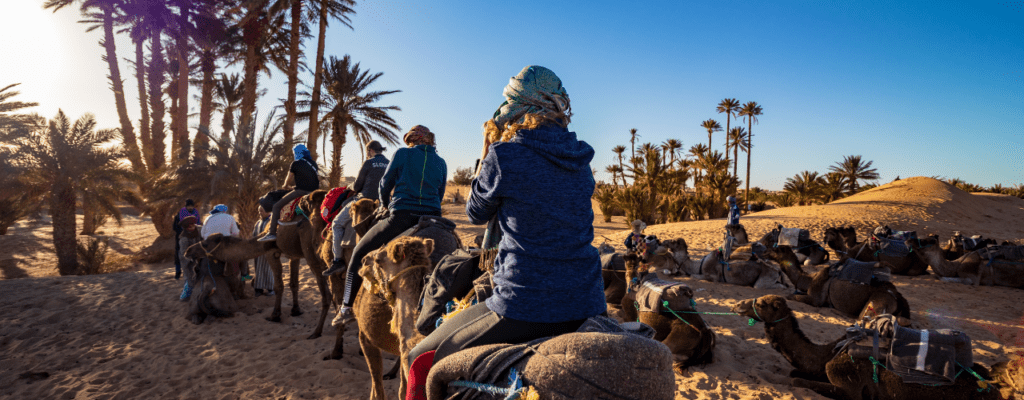 escursione cammelli deserto