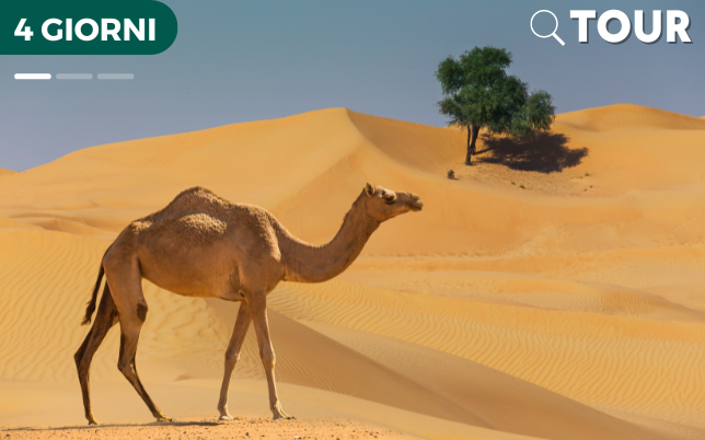 Tour da Marrakech a Merzouga 4 giorni cammello
