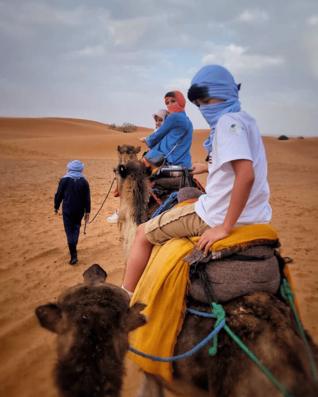 Traversata nel deserto con dromedari